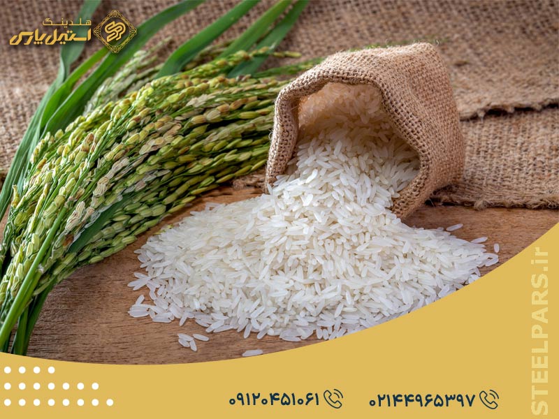 معرفی انواع برنج